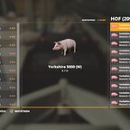 Jubiläum das 5000ste Schwein gezüchtet