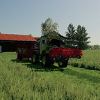 Frischgras auf der Steinbach holen