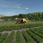 Heu pressen in Norwegen.