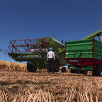 Steht im September noch das Korn, ist es wohl vergessen worn. :)