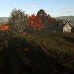 Die Kühe geniessen die letzten Sonnenstrahlen