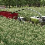 Claas Jaguar 980