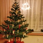 Weihnachtsbaum 2016