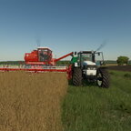 Dreschen in Polen!!!!