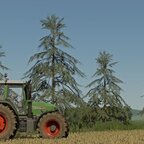 New tree textures