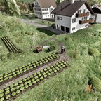 Salatanbau auf der Swiss Future Farm