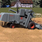 Kallebach 15