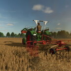 Schwaden mit dem Fendt F40