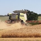 Ernte beobachten in Mecklenburg-Vorpommern