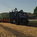First days on Zielonka