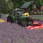 Der 1. Schnitt Luzerne