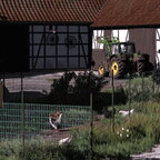 Kallebach 14