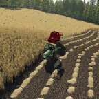 Hafer Drusch mit Fendt und Fahr
