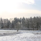 Winterwelt