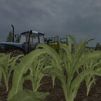 8340 beim Düngen im Mais