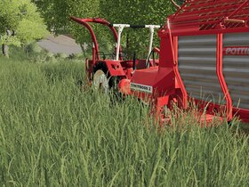 McCormick im Gras