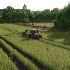 Field works