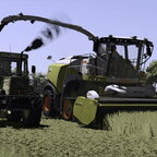 Gras silieren