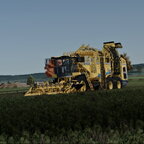 Rübenernte läuft auch