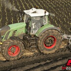 Dick am acker Plögen