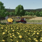 Fields works