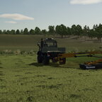 First days on Zielonka