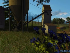 Bilder für mein W.i.P topic
