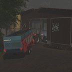 Kühe füttern am Morgen