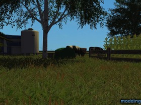 Bilder für mein W.i.P topic